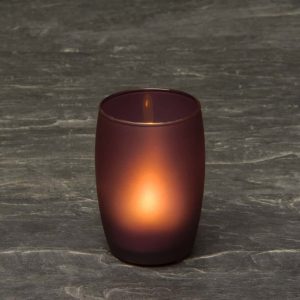 SCH8665- Violet